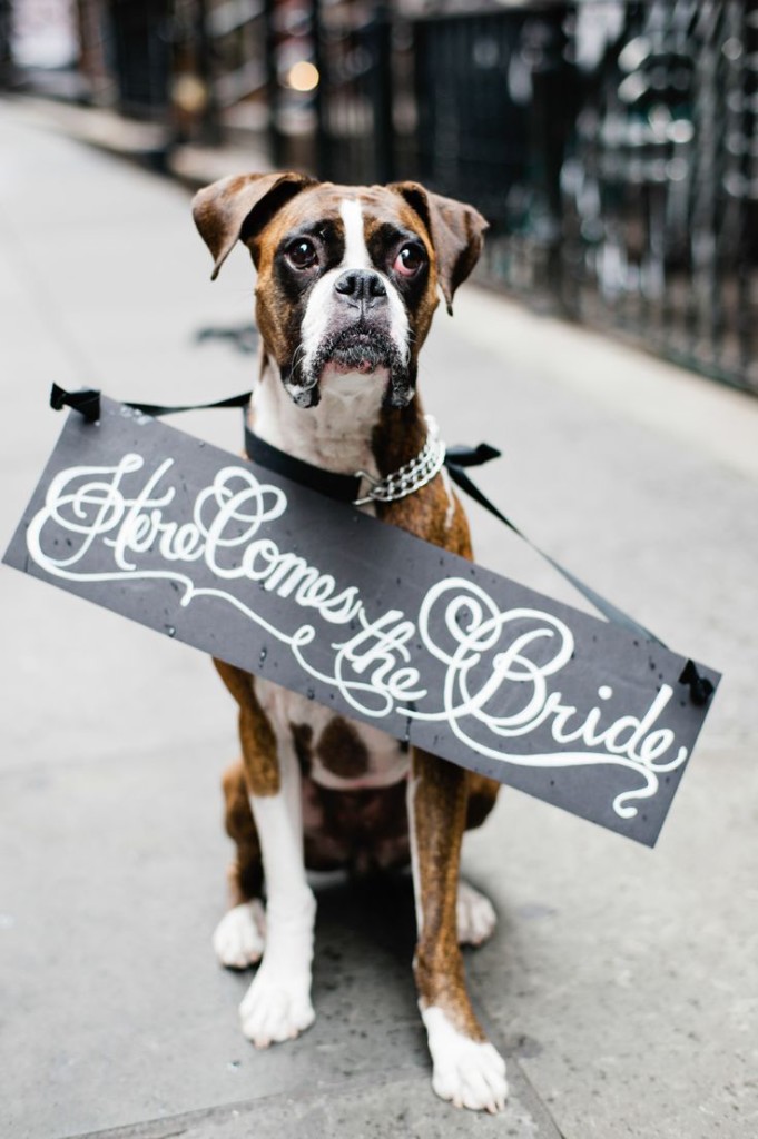 doggy signage wedding